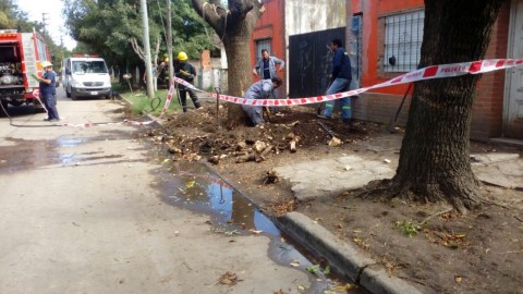 Escape de gas en una vereda por error de un podador