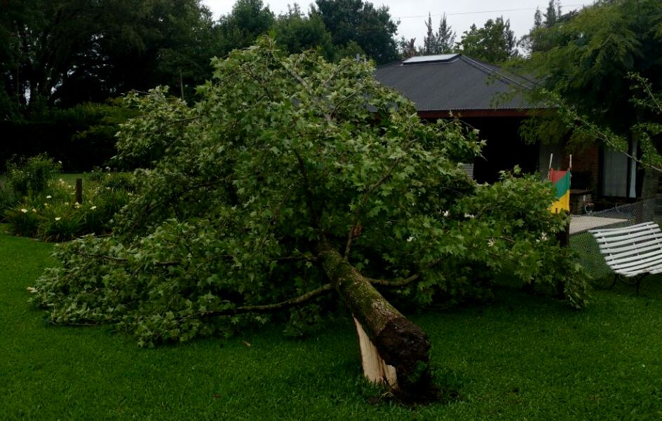 Varias zonas de Rodríguez sin luz tras la tormenta de anoche