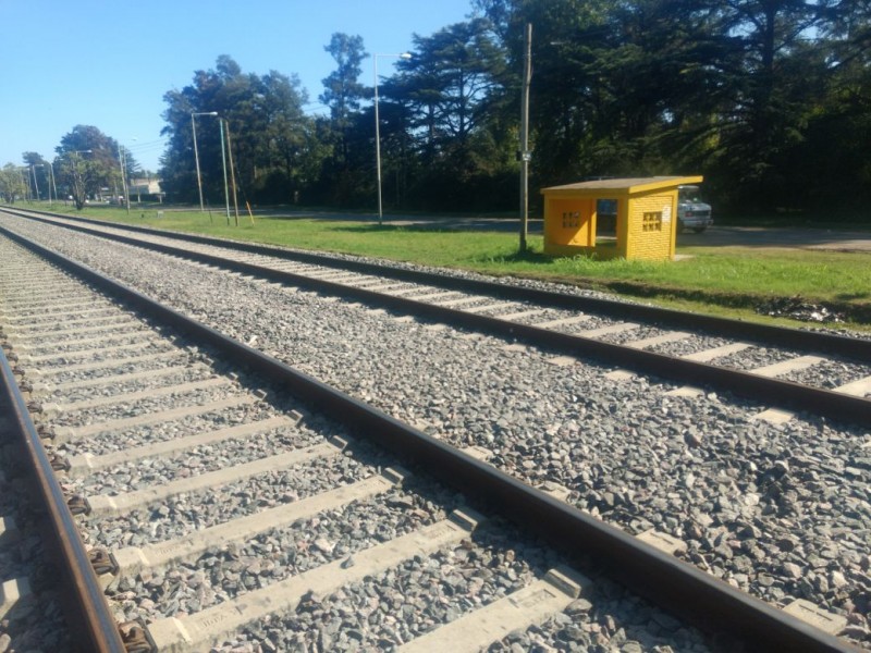El Municipio acordó con Trenes Argentinos el mantenimiento de las inmediaciones de la traza ferroviaria
