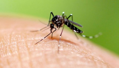 Charla abierta sobre la prevención del dengue