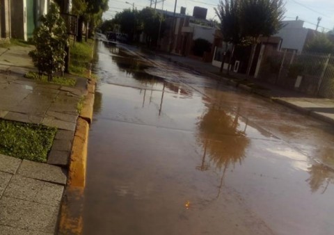 Ecodyma se refirió a los reclamos vecinales por aguas estancadas en calles céntricas