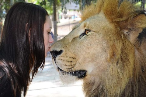 Una rodriguense, ex criadora de leones y tigres, defiende al Zoo Luján de las críticas y prejuicios