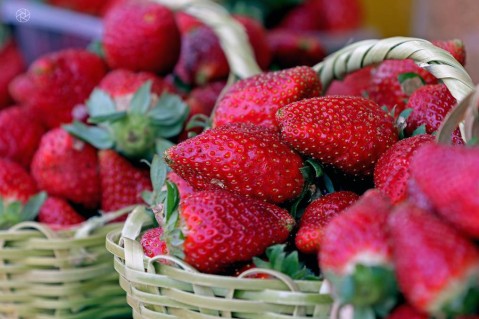 La 4º Fiesta de la Frutilla: la grilla completa de todos los artistas que se presentarán este finde