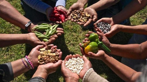 Invitan a docentes a ser parte de un curso provincial de alimentación natural y saludable: cómo anotarse