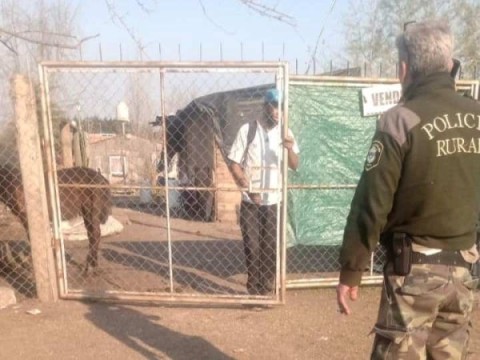 Policía Rural recuperó en barrio Güemes dos caballos robados en Moreno