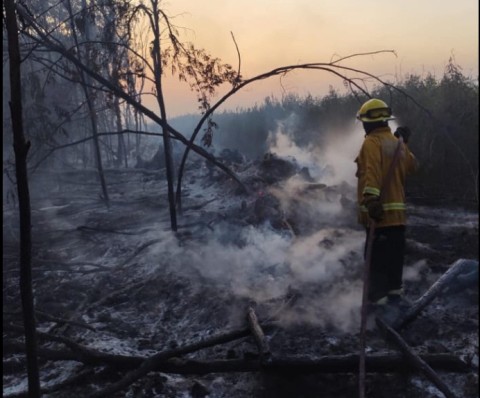 Gran incendio forestal iniciado en predios del desarrollo de un country de Ruta 6