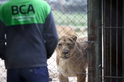 El importante giro que dio el juicio por maltrato animal contra los dueños del Zoo de Luján