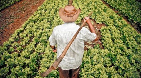 Buscan que el Municipio integre a una red para fomentar la agroecología y revise el uso de agroquímicos