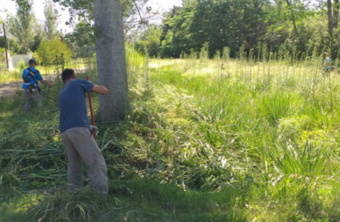 Provincia hizo un operativo de limpieza en un arroyo de General Rodríguez