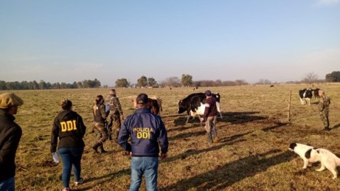 Allanamientos en dos campos locales y un hombre arrestado