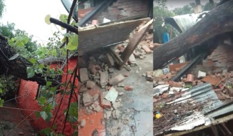 Reclamos sin atender y un árbol que le destrozó la casa: "Esto se podría haber evitado"