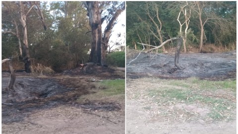 Denuncian quema de árboles en el Monte del Hospital