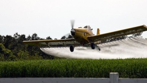 Tras casi un año de espera, convocan a la primera asamblea para regular el uso de agroquímicos