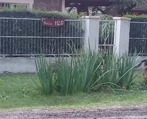 Tragedia: un nene perdió la vida en una casa quinta del barrio Altos de San Joaquín