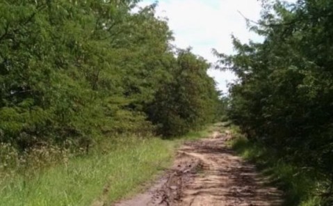 Presentaron a un funcionario de la Provincia un proyecto para mejorar caminos rurales de Gral. Rodríguez