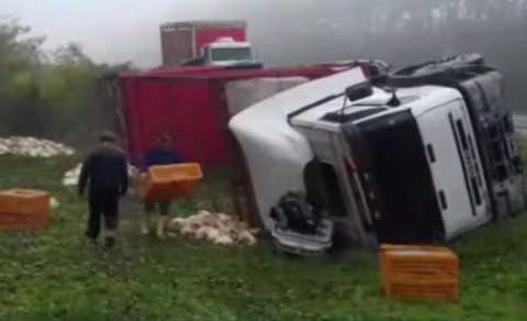 Camión de una firma local volcó en Luján