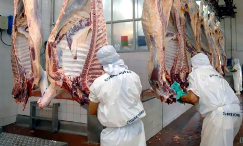 Trabajadores de la carne: consiguieron un aumento del 324% y lo cobrarán en tres veces