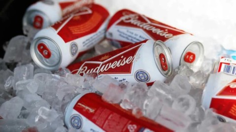 Budweiser regala cervezas que no pudo vender en el Mundial de Qatar: cómo conseguirlas