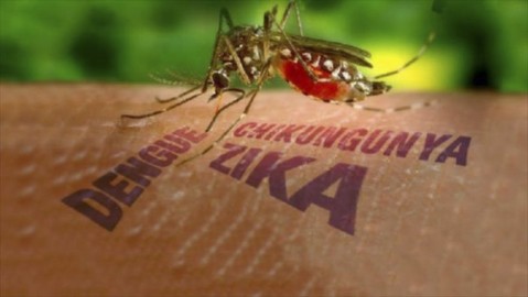 El municipio lanzó recomendaciones para prevenir la propagación del Dengue
