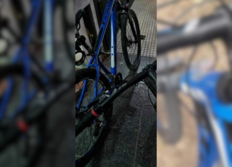 Entraron a su casa y se llevaron una bicicleta: ofrece recompensa para recuperarla