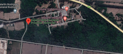 El grupo "No a la tala" mapeó los 5 espacios en peligro del monte del hospital y reclama por la intervención de una ONG
