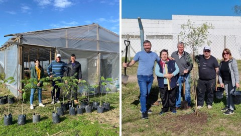 El municipio y el Rotary Club plantaron árboles en varios puntos de nuestro distrito