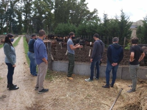 El Municipio habilitó el primer emprendimiento ganadero de "feedlot" en Gral Rodríguez