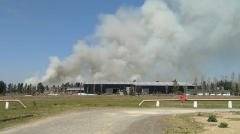 Bomberos debieron combatir durante tres horas un incendio forestal cerca de la Ruta 24