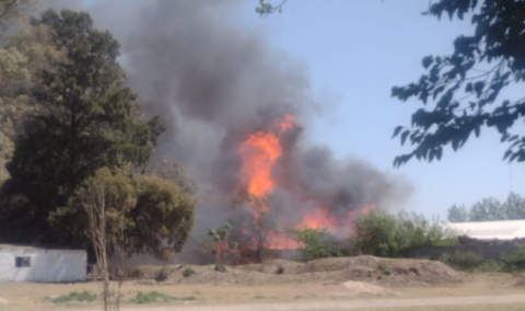 Feroz incendio en una paletera del barrio Mi Rincón a sólo 100 metros de estación de servicio