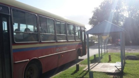 Discusión y brutal agresión en una parada de colectivo