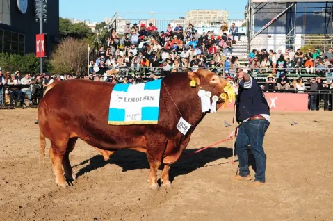 General Rodríguez se anotó en el podio de una de las razas participantes de La Rural