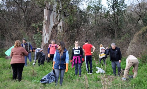 Vecinos autoconvocados hicieron una jornada de limpieza en el monte del Hospital