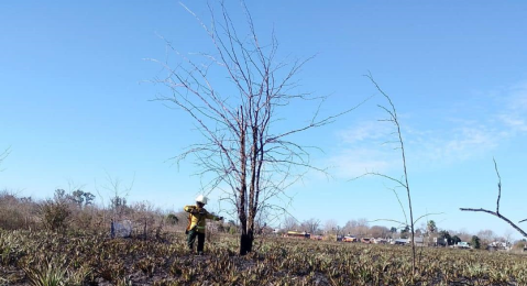 Un incendio forestal alarmó a los vecinos del barrio Bicentenario