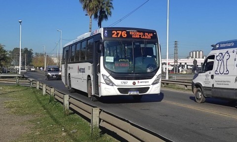 Colectivos: el Gobierno aseguró que ya pagó los subsidios y pide que el servicio se restablezca