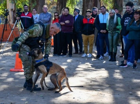 El Municipio trabaja en la "exportación" del modelo de brigada canina a otros distritos bonaerenses