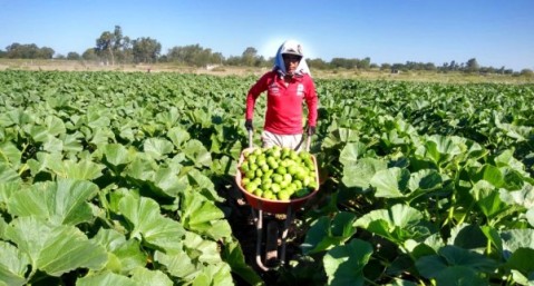 Jornada de inscripción de productores agrícolas locales a registros nacionales