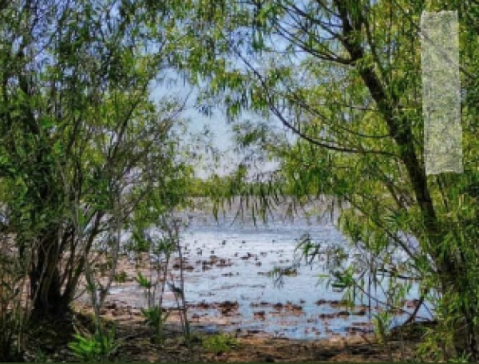 Realizarán una consulta pública para el proyecto de la Reserva Natural: dónde queda y qué obras se harán