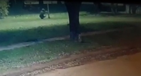 Video: así robaron luces en una plaza del barrio Parque Rivadavia