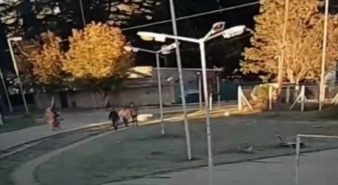 Video: robo de motochorros a una mujer en la rotonda de Parque Irigoyen