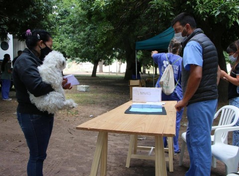 Este sábado hay un operativo de vacunación antirrábica gratuita para perros y gatos en General Rodríguez