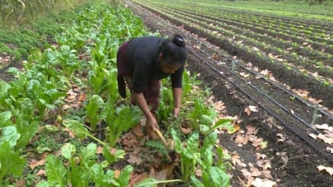 Este miércoles se realizará un Operativo de la Mesa de la Tierra en el Barrio San Carlos