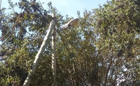 Robo de cables dejó sin luz a media cuadra en el barrio Parque La Argentina.