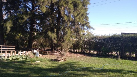 "Estoy con miedo": la angustia de una joven a la que le desvalijaron la casa en el barrio Villa San Martín