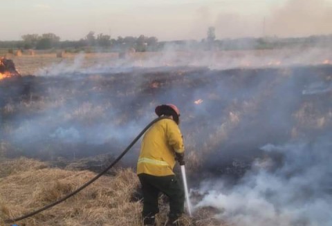 Bomberos apagaron un incendio en un descampado rural y ya se pide tomar precauciones para el verano