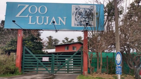 Telenoche hizo un nuevo informe sobre el estado de los animales del Zoo de Luján